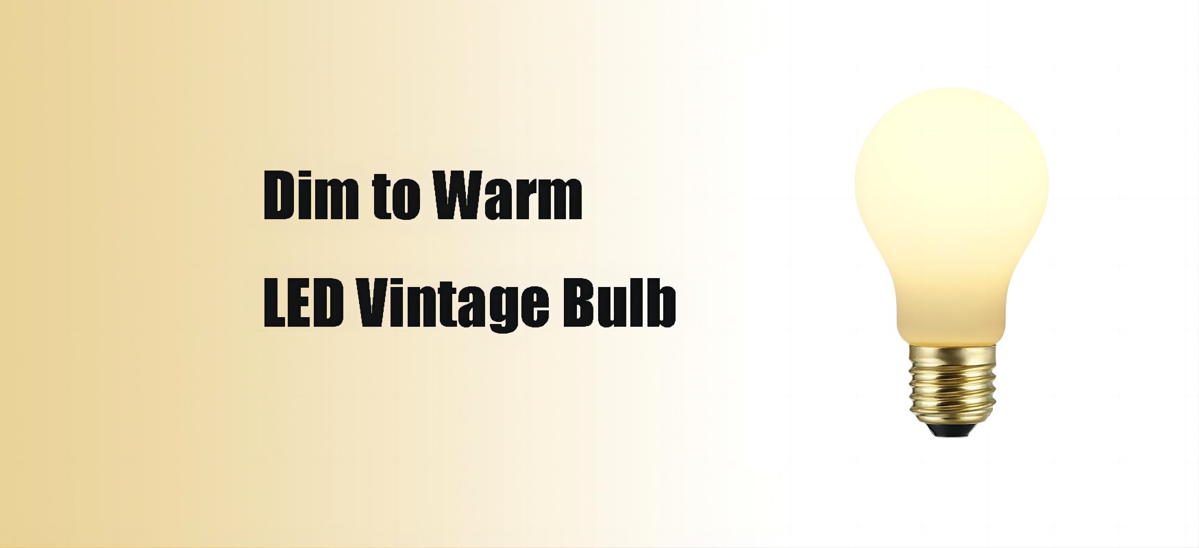 Dim to Warm LED Vintage Edison Bulb